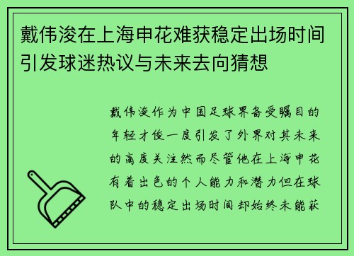 戴伟浚在上海申花难获稳定出场时间引发球迷热议与未来去向猜想
